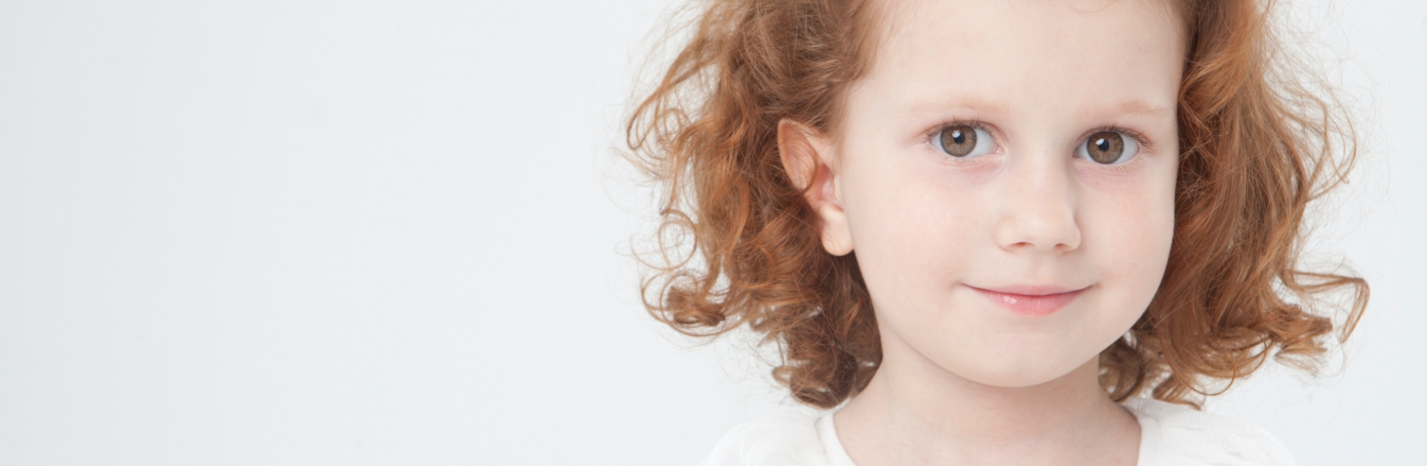 プランA（36,800円）